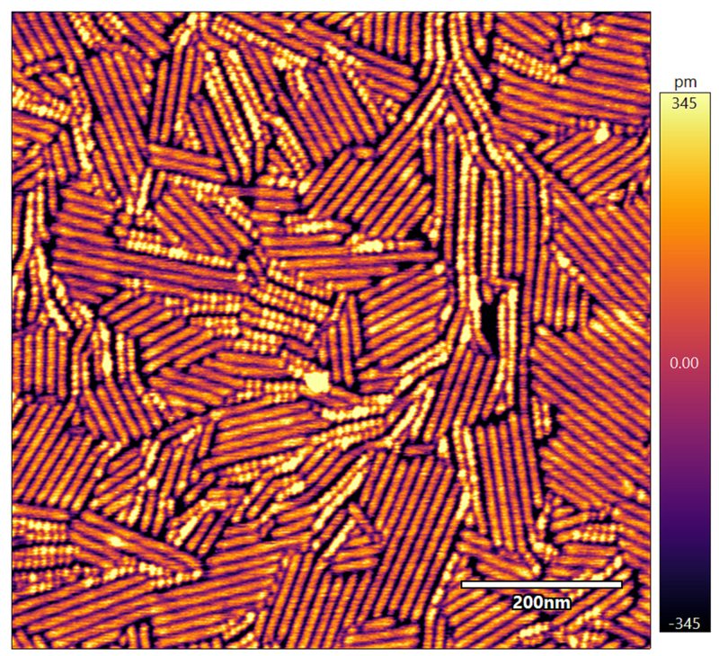 AFM Standard Samples